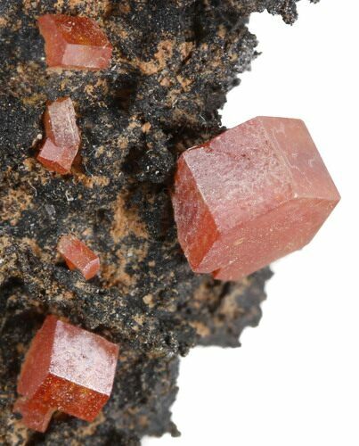 Red Vanadinite Crystals on Manganese Oxide - Morocco #38484